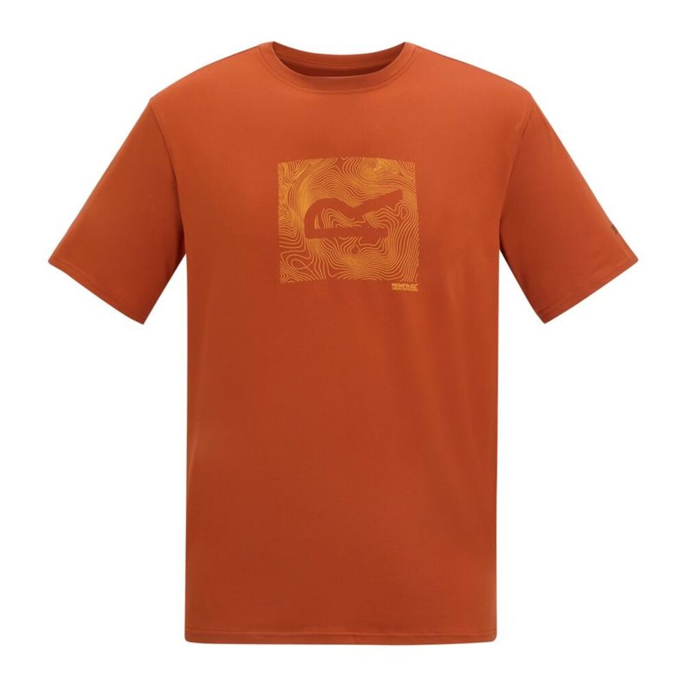 Regatta Mens Fingal Abstract Stretch Logo T-Shirt / Rooibos Tea